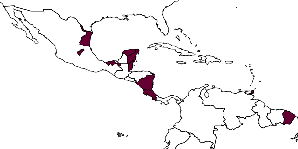 map of Digonocryptus thoracicus     Kasparyan & Ruíz, 2005